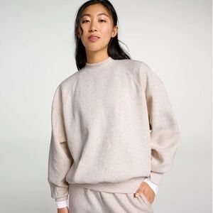 DSG Women's Classic Fleece Crew Neck - Neutral Holiday Nep - Size L